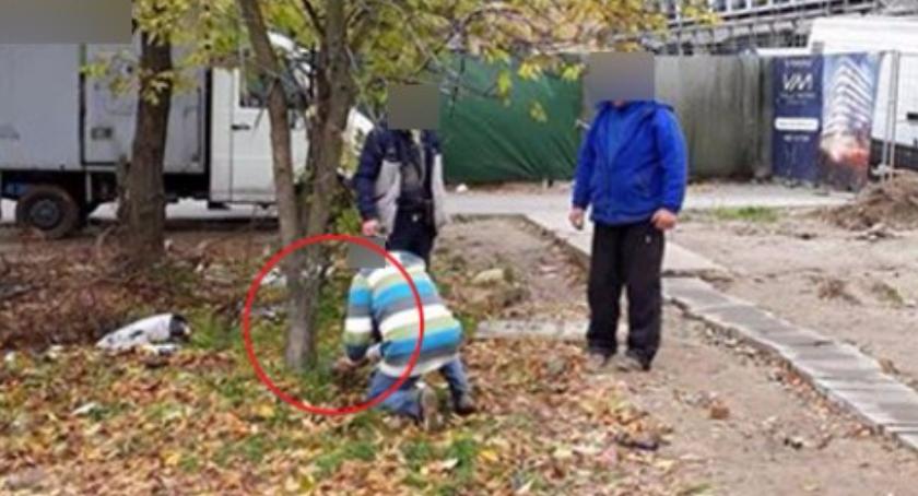 Złodzieje wycięli drzewo przy pętli autobusowej w pobliżu metra Wilanowska i są bezkarni