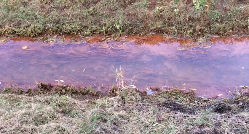ALARM!!! Któryś z deweloperów spuszcza odpady chemiczne do Kanału Siekierkowskiego…