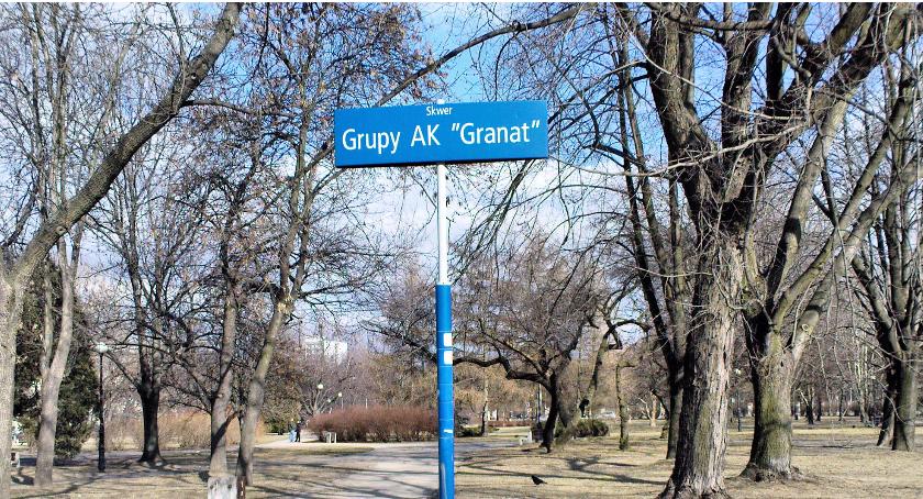 Rozpoczęło się odszczurzanie Skweru Grupy AK „Granat”, zupełnie jak na wyspach Oceanii