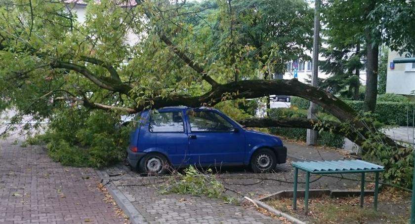 Na ul. Powsińskiej nadpróchniałe stare drzewo zwaliło się na stojące pod nim samochody