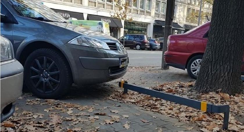 „Szanuj zieleń” dotrze również na Mokotów – po zbadaniu programu pilotażowego w Śródmieściu