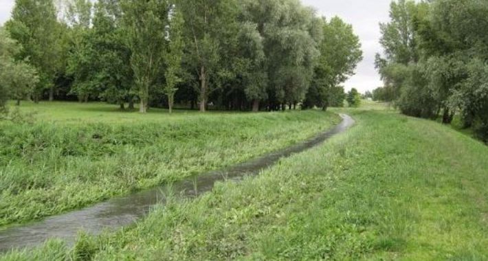 Dolinka Służewska – podsumowanie konsultacji społecznych