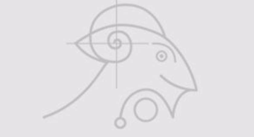 SDK: Tramping i carpooling 2015