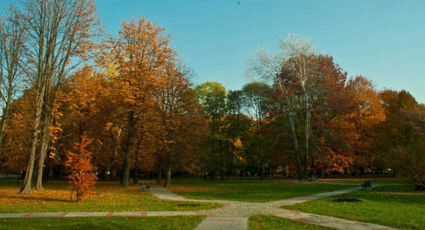 Jakie Pole Mokotowskie? Ruszają konsultacje