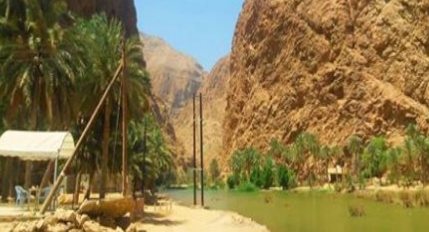 Tam i Z Powrotem - 