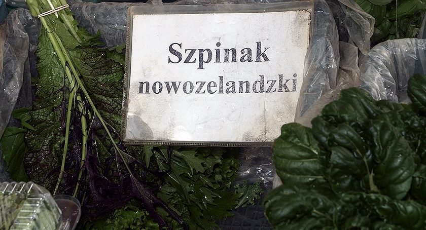 Trętwian czterorożny