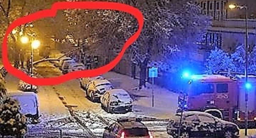 Przy ul. Mahatmy Gandhiego w nocną śnieżycę spadło drzewo na samochód