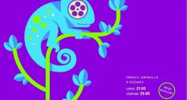 Stegny - kino plenerowe. Następne seanse!