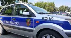 Porzucona korespondencja na Mokotowie
