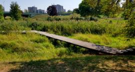 Park w Dolinie Służewieckiej - inwestycja musi być i koniec
