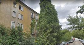 Walka mieszkańców z Kraushara 1