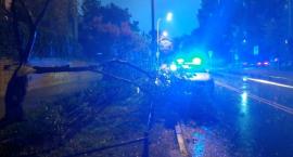 Nocny wiatr stworzył niebezpieczeństwo na Stegnach [ZDJĘCIA]