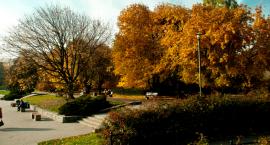 Park Pole Mokotowskie przejdzie metamorfozę. Jak się zmieni?