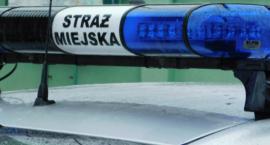 Niedoszły bokser na ul. Bokserskiej zatrzymany! 