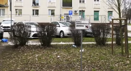 ZGN Mokotów walczy z ptakami