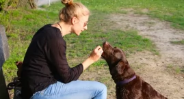 Psy i ich właściciele powinni się nauczyć paru nowych rzeczy?