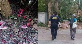 Nie tylko pomór ptaków. Ogromne ilości trutki przy ul. Piaseczyńskiej! 
