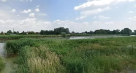 Nie ma co o nim zapominać. Jezioro Lisowskie w sam raz na spacer (ZDJĘCIA)
