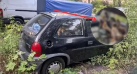 Tym razem nie był to pies. Zwierzęta uwięzione w nagrzanym aucie na Mokotowie