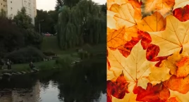 Najbardziej klimatyczne parki na Mokotowie. W sam ra…