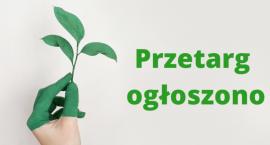 Trochę więcej zieleni na Starym Mokotowie 