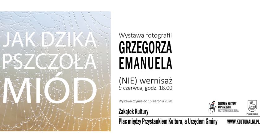Jak Dzika Pszczoła Miód - wystawa foto