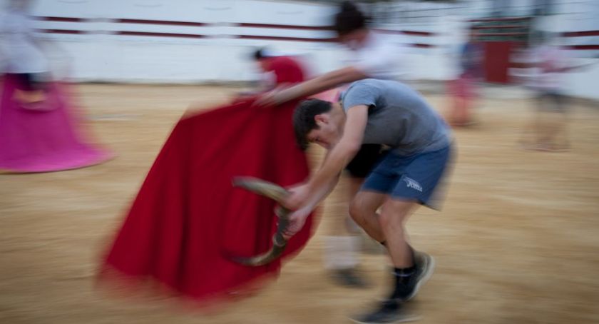 Wystawa fotografii Julii Zabrodzkiej