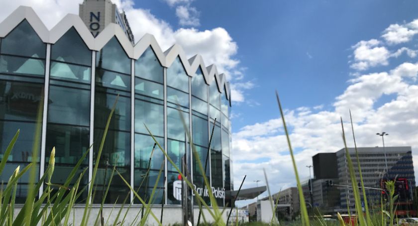 Bycie eko się opłaca – największy bank PKO BP w Polsce wspiera transformację energetyczną kraju