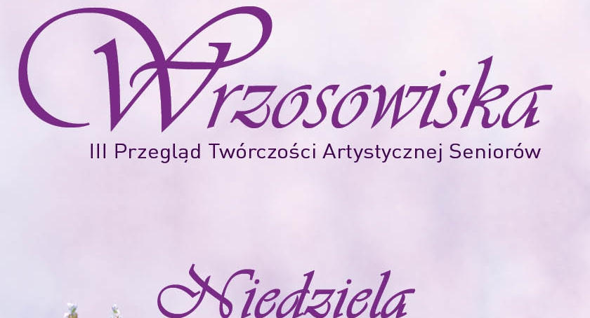 Zapraszamy na Wrzosowiska