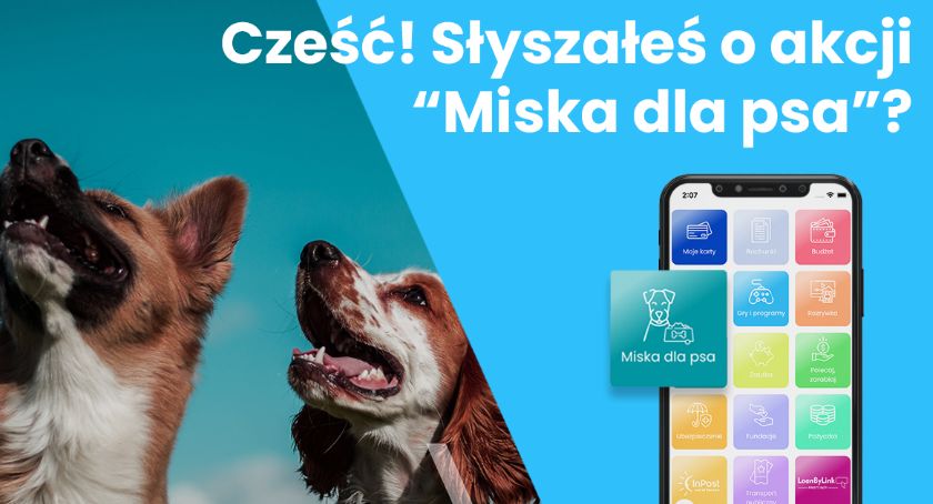 Akcja miska dla psa - Bilet kupujesz, miskę fundujesz