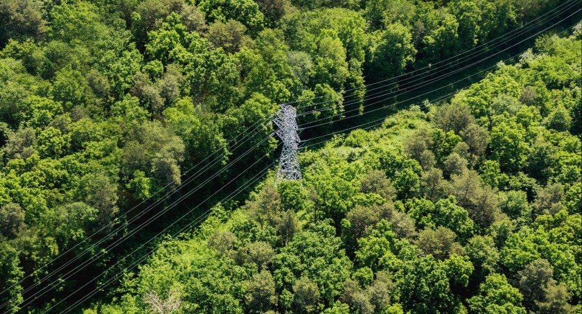 PGE zaprasza na warsztaty online dla wykonawców prac w obszarze dystrybucji energii elektrycznej