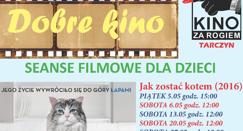 Kino za Rogiem - Jak zostać kotem