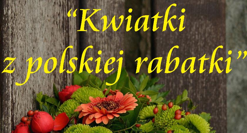 Kwiatki z polskiej rabatki