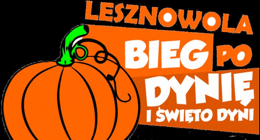 Święto DYNI – informacje dla wystawców