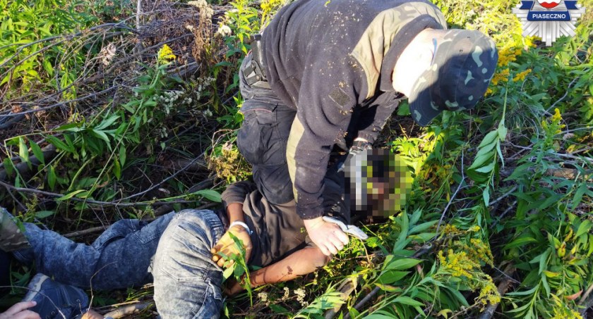 Pielęgnacja krzewów konopi zakończona trzymiesięcznym aresztem