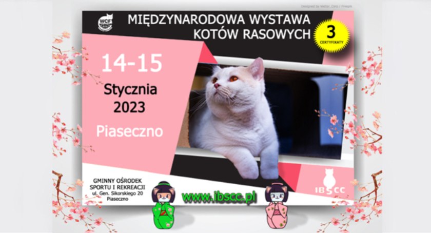 Wystawa Kotów Rasowych Piaseczno 2023