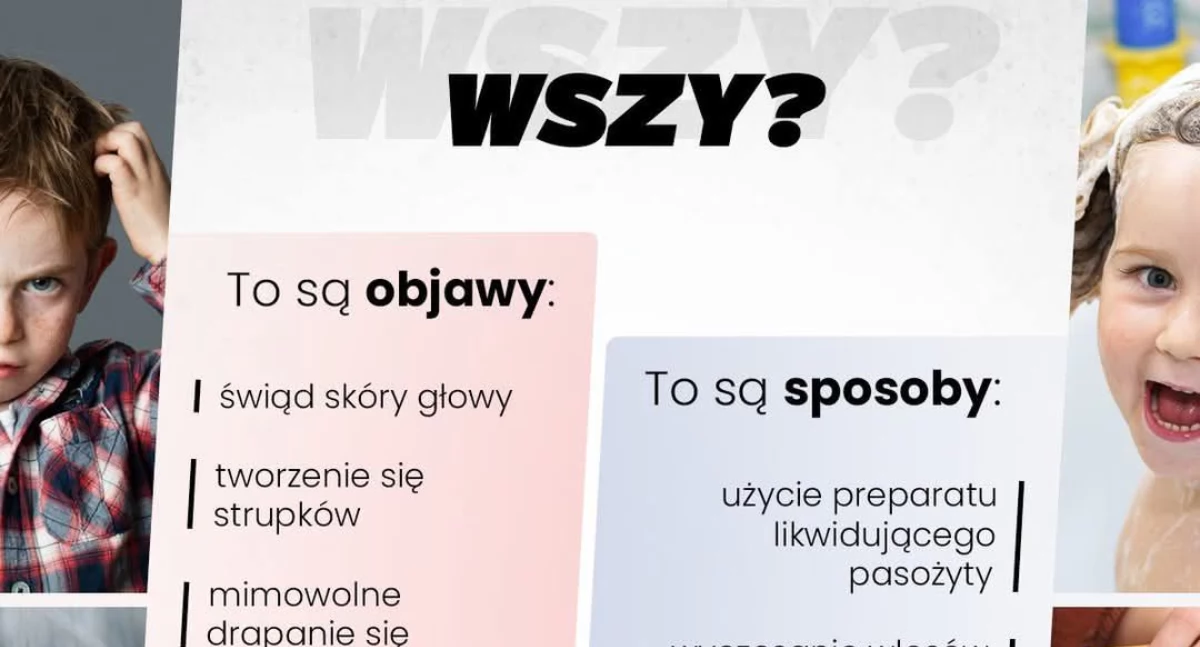 Wszy - nieproszeni goście po feriach zimowych