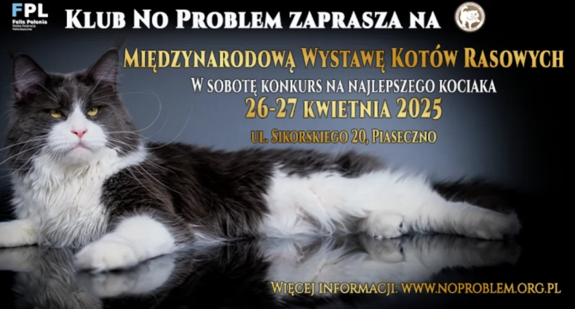 Wystawa Kotów Rasowych w Piasecznie 2025