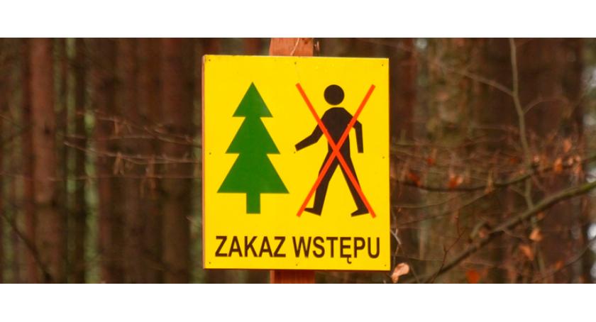 Zakaz wstępu do lasu