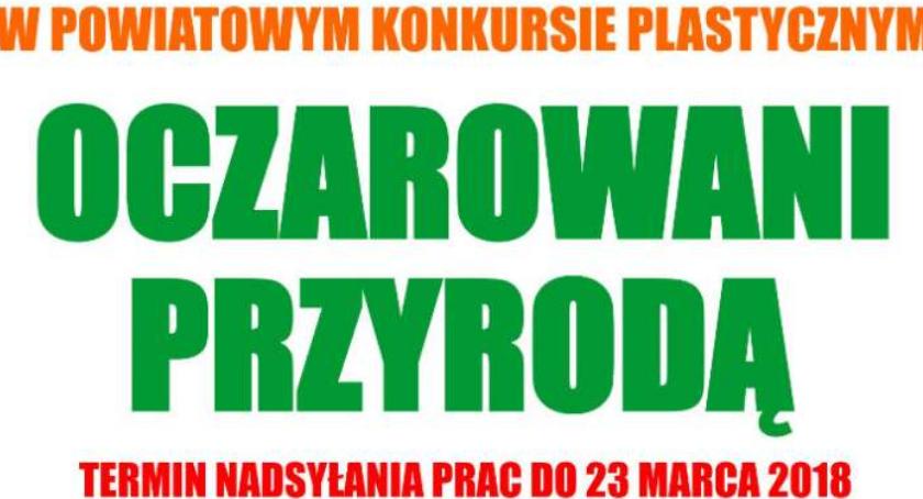 VII edycja Powiatowego Konkursu Plastycznego