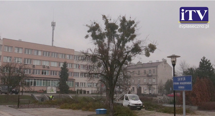 Wycinka drzew na Skwerze Kisiela