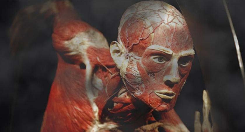 BODY WORLDS - jak zabija nas SMOG?!