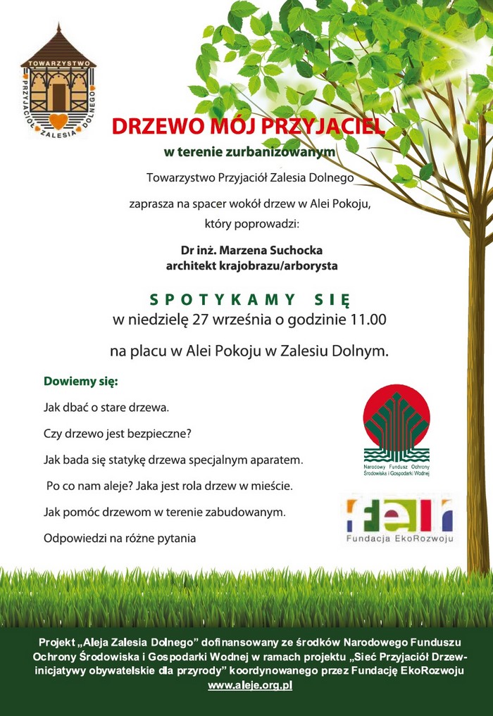 Drzewo mój przyjaciel w terenie zurbanizowanym