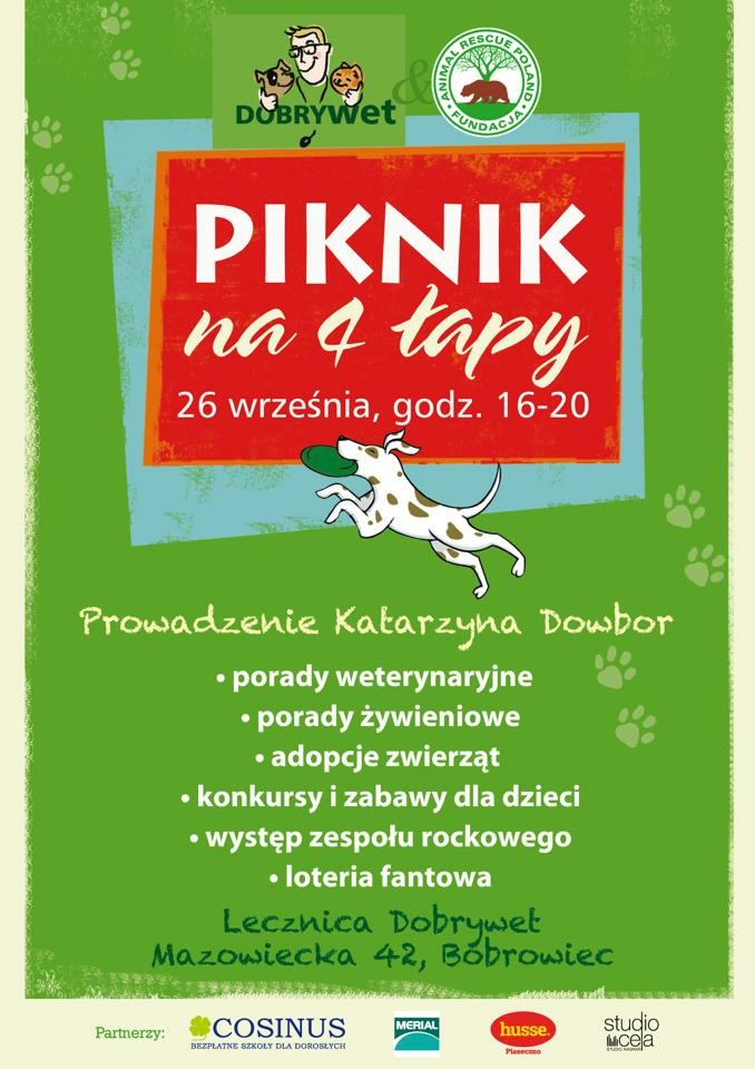Piknik na 4 łapy