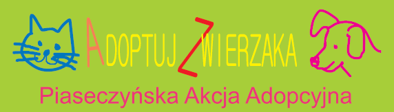 Adopcja i Akcja Rynek
