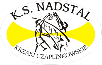Młodzieżowa sekcja siatkówki w Górze Kalwarii