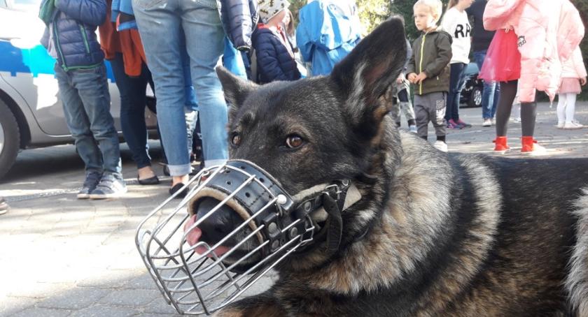 W trosce o bezpieczeństwo najmłodszych