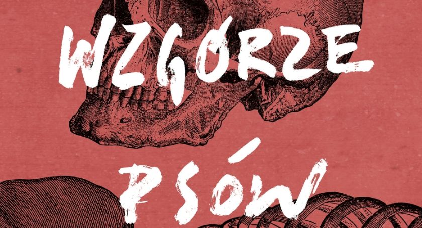 Wzgórze Psów w Zalesiu Górnym