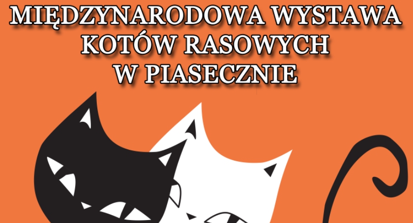 Wystawa Kotów Rasowych w Piasecznie