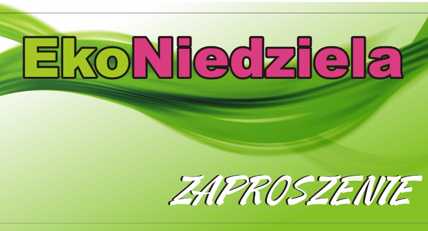 Eko-Niedziela na Rynku